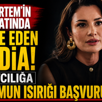 Magazin